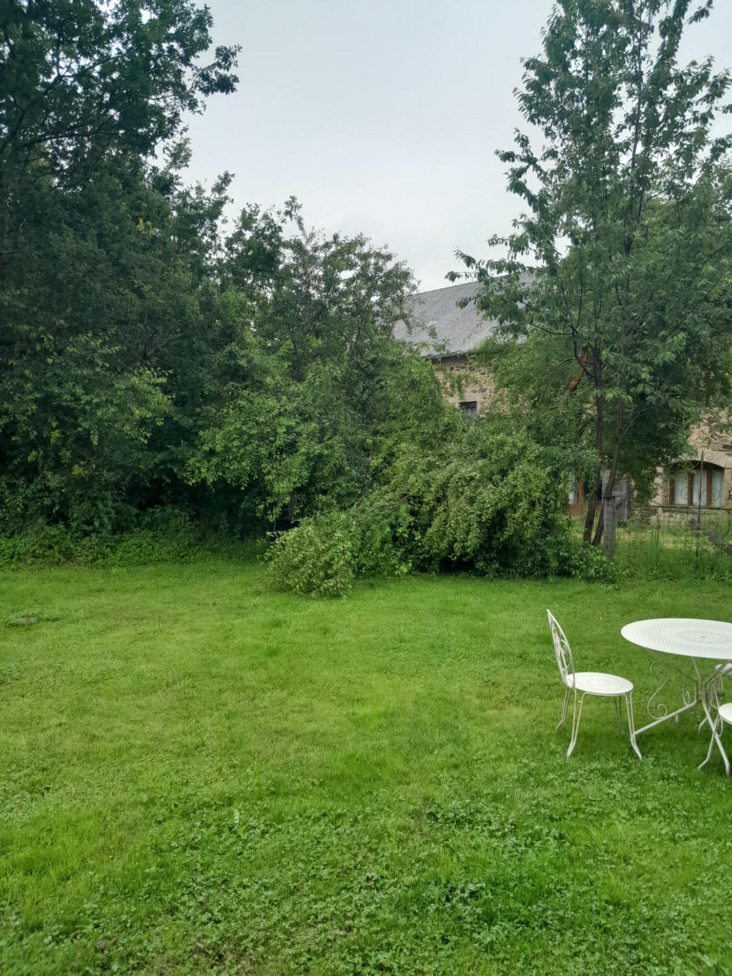 La Petite Salamandre Bleue La Croisille-sur-Briance Dış mekan fotoğraf